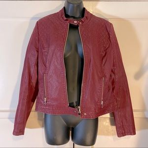 Cavalini Burgundy Moto Jacket Sz medium